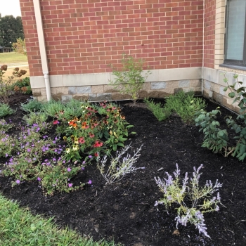 photo of gardeners