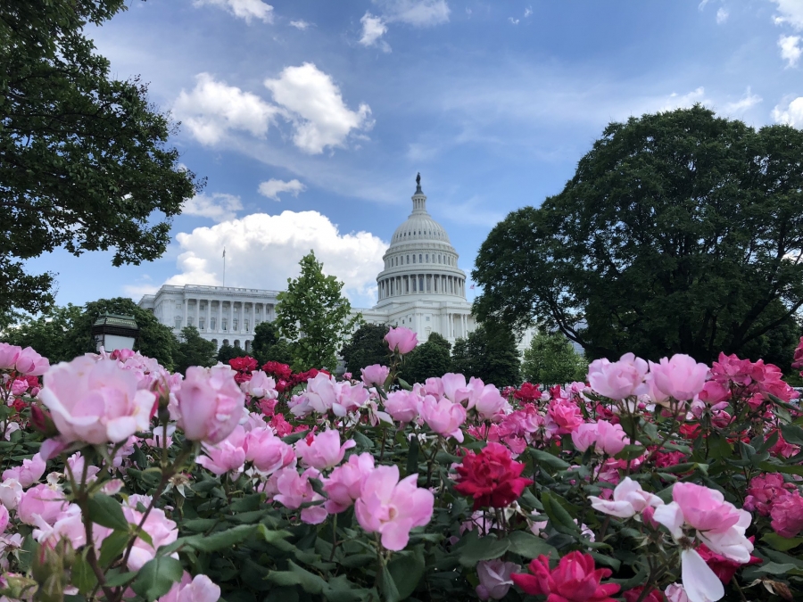 photo of capitol