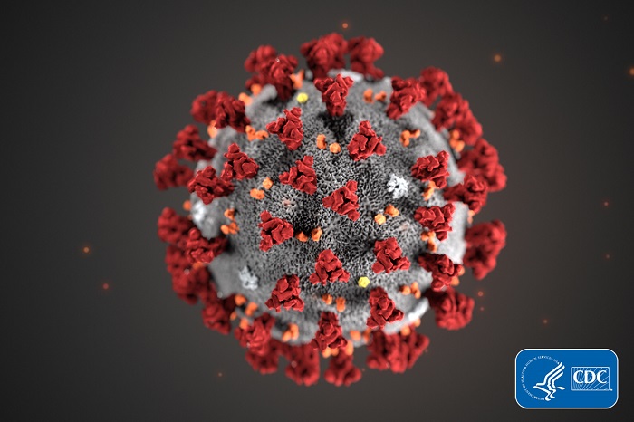 photo of virus