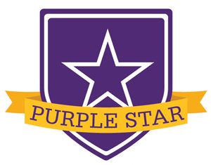 purple star logo